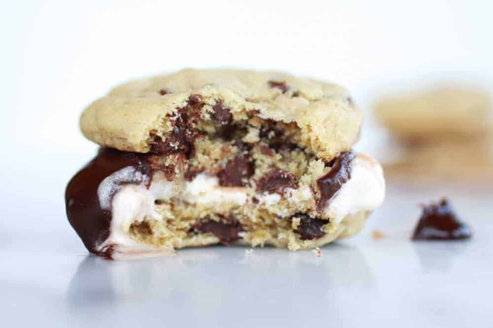 Hot Fudge Chocolate Chip Cookie Cookie Dough Ice Cream Sandwich | https://body-metrics.site/