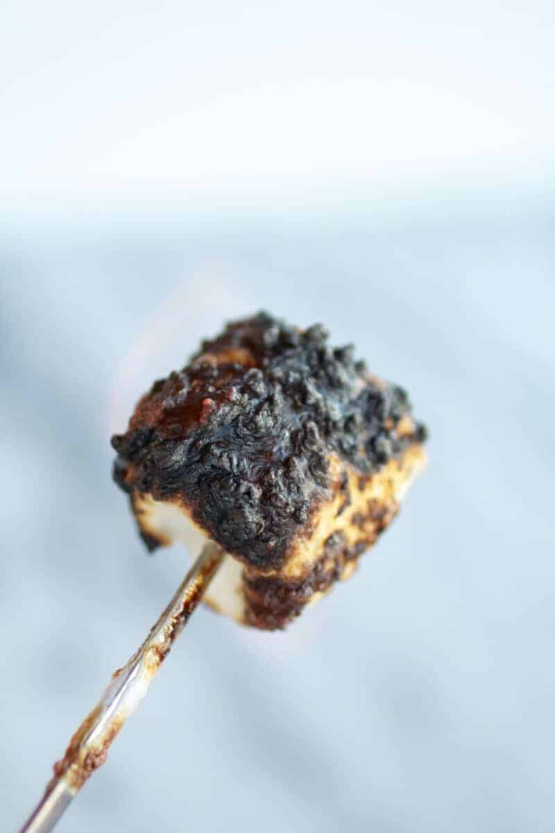 Toasted S'more Chocolate Fudge Ice Cream | https://body-metrics.site/