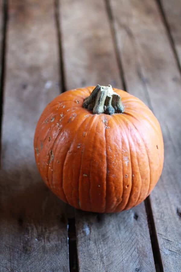 Chocolate Chip Pumpkin Cinnamon Roll Dutch Baby | halfbakedharvest.com