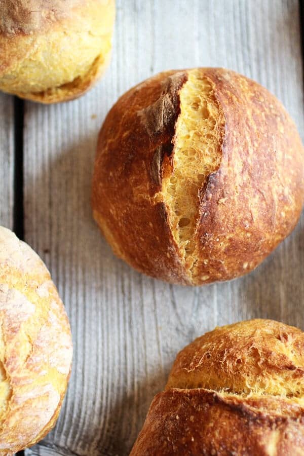 Super Easy Crusty No-Knead Pumpkin Bread Bowls | halfbakedharvest.com