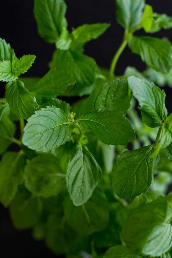 Saucy Indian Spiced Chicken with Naan | halfbakedharvest.com