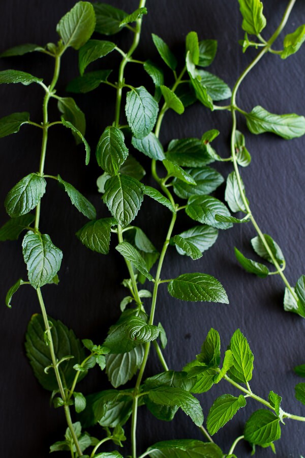 Spring Veggie + Lemon Moroccan Chicken Skewers with Minted Goat Cheese Yogurt | halfbakedharvest.com