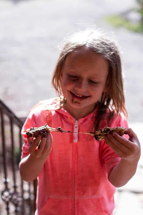 Oatmeal Chocolate Chip + Graham Cracker Cookie S'mores. -52