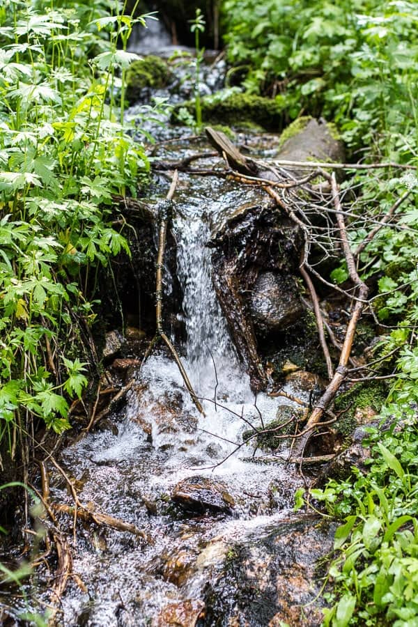 Let's Go on Mid Summer Hike Together | halfbakedharvest.com