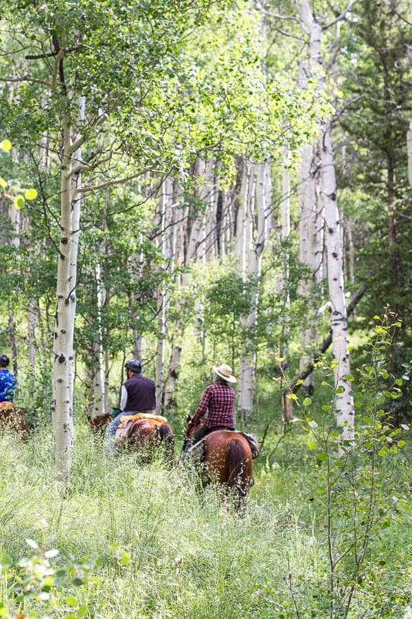 Let's Go on Mid Summer Hike Together | halfbakedharvest.com