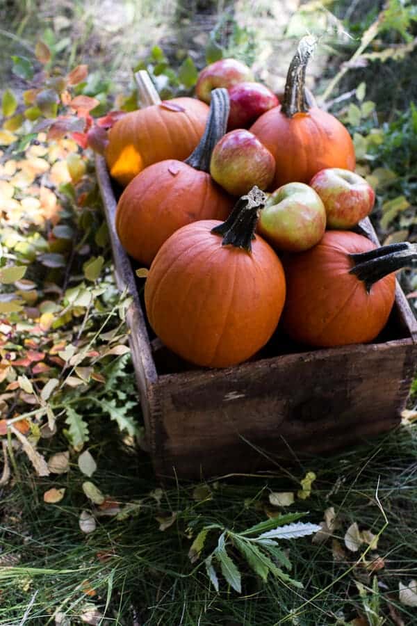 Brown Butter Pecan + Maple Quinoa Autumn Harvest Granola | halfbakedharvest.com @hbharvest