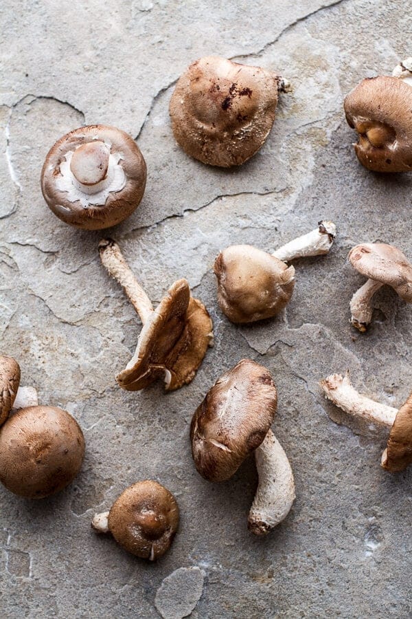 Taleggio Ravioli with Garlicy Butter Kale and Mushroom Sauce + Toasted Pine Nuts | halfbakedharvest.com @hbharvest