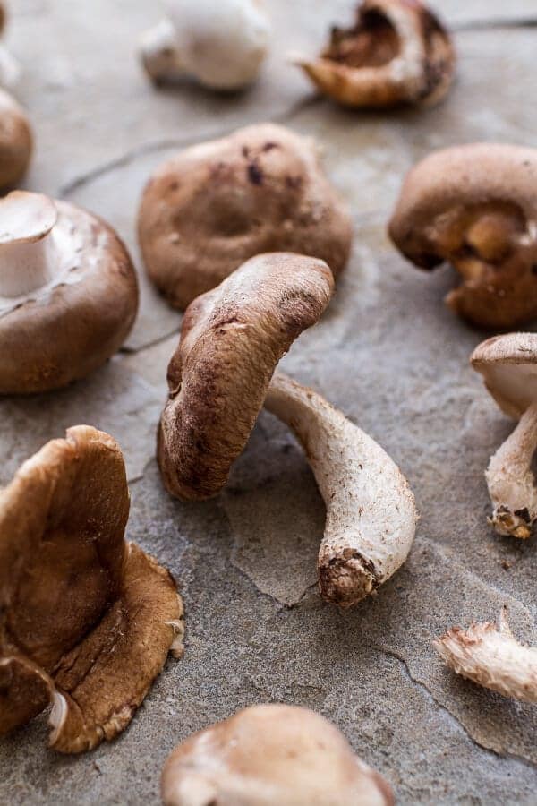 Taleggio Ravioli with Garlicy Butter Kale and Mushroom Sauce + Toasted Pine Nuts | halfbakedharvest.com @hbharvest