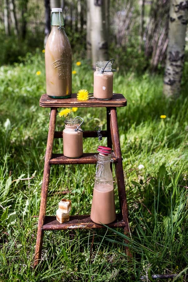 Chocolate Almond Milk with Creamy Malted Coffee Ice Cubes | halfbakedharvest.com @hbharvest