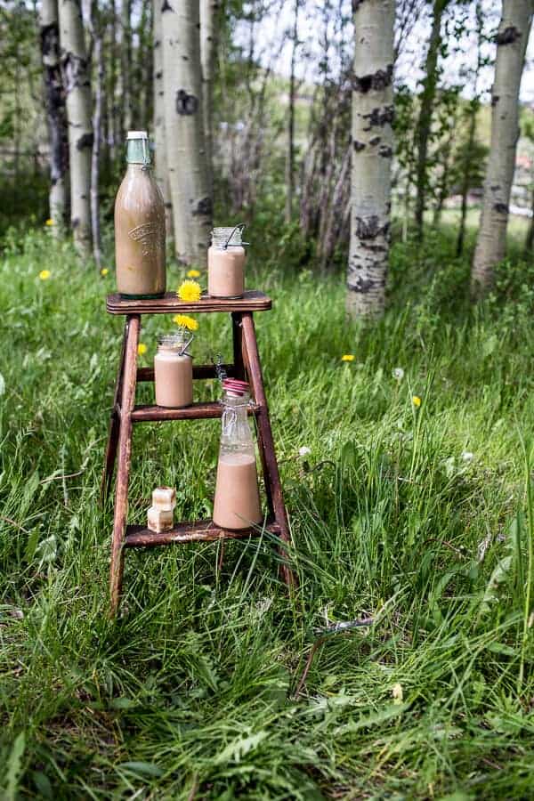 Chocolate Almond Milk with Creamy Malted Coffee Ice Cubes | halfbakedharvest.com @hbharvest