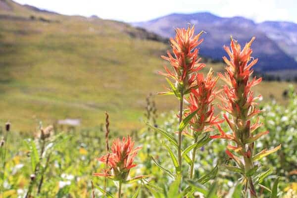 Fall Harvest Peanut Picnic + a Family Hike! | halfbakedharvest.com @hbharvest