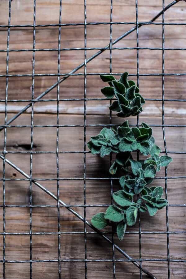 Simple Baked Italian Oregano Meatballs | halfbakedharvest.com @hbharvest