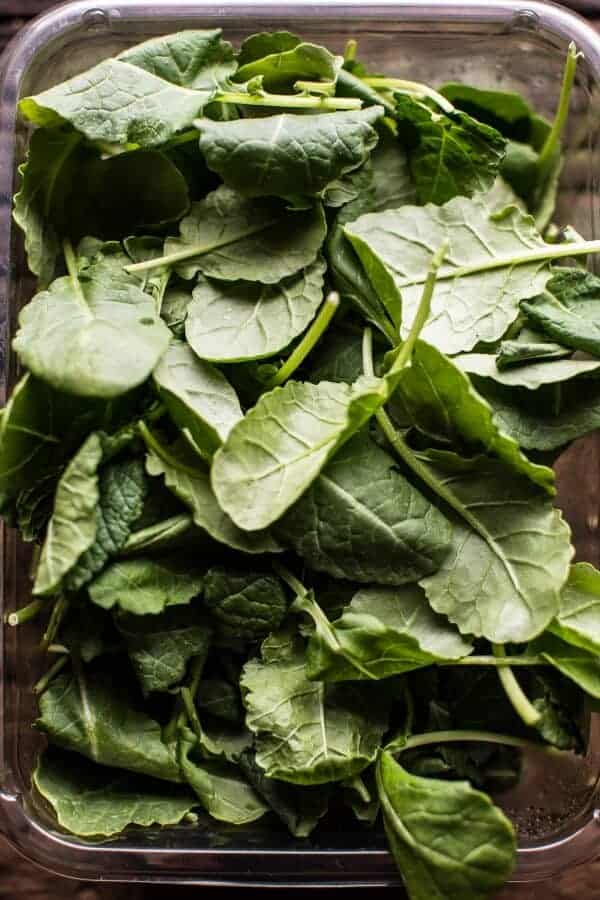 Chorizo Bolognese Pasta with Sourdough Pangrattato + Burrata | halfbakedharvest.com @hbharvest