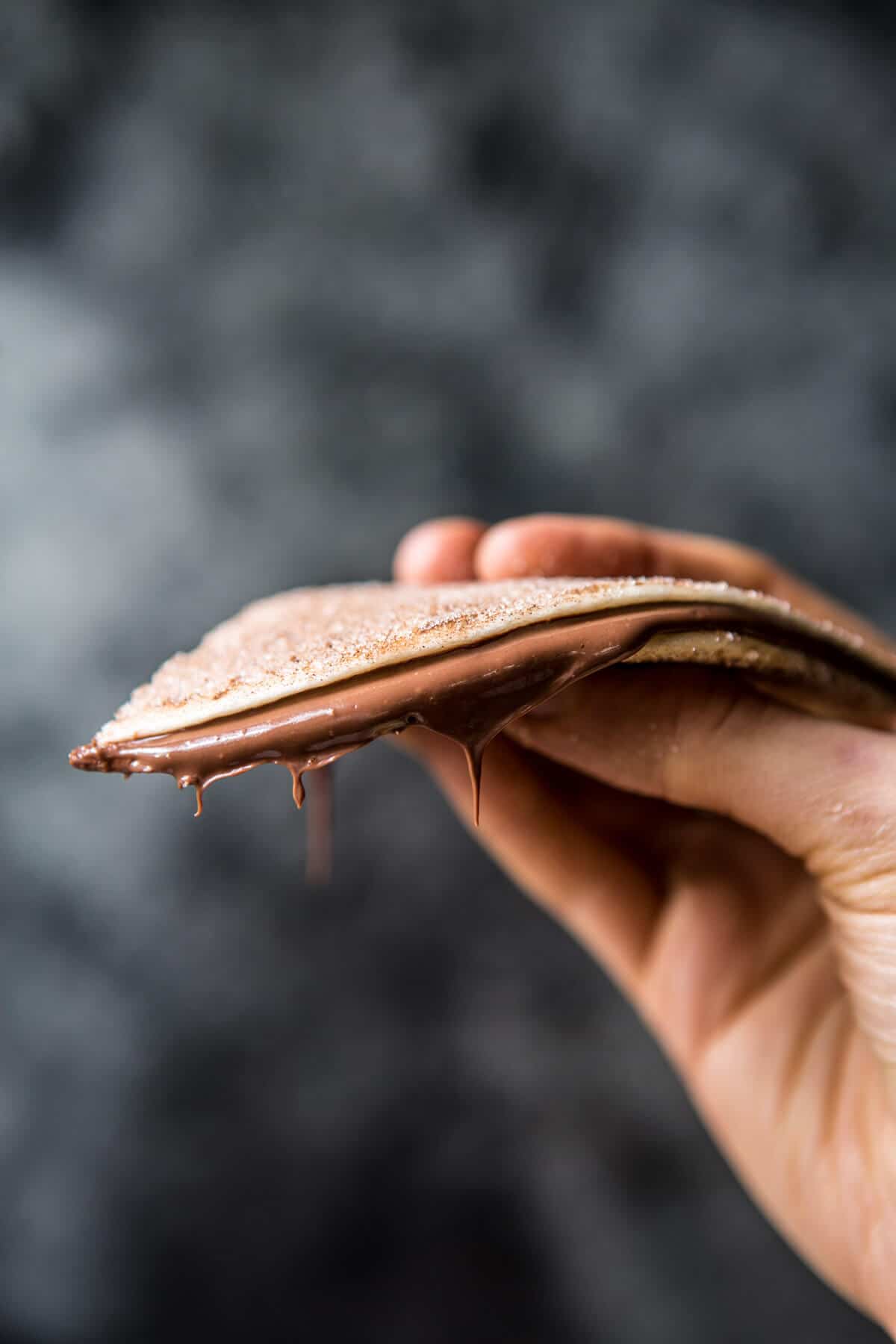 Cinnamon Sugar Nutella Quesadilla | halfbakedharvest.com @hbharvest