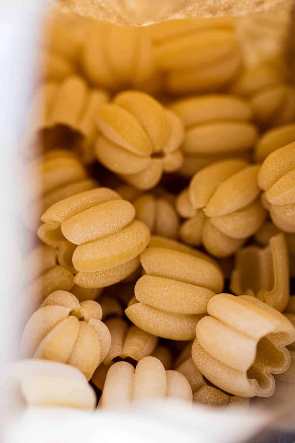 Italian Pumpkin and Kale Chicken Noodle Soup with Fontina Toast | halfbakedharvest.com @hbharvest