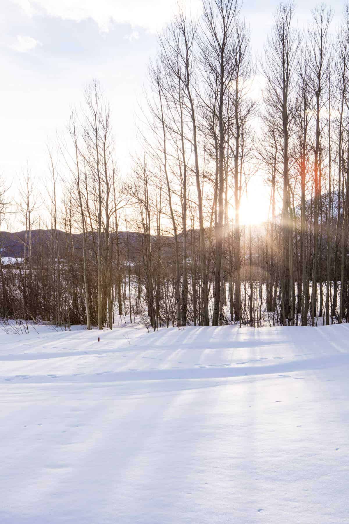 Nine of My Favorite Things this Week | halfbakedharvest.com @hbharvest