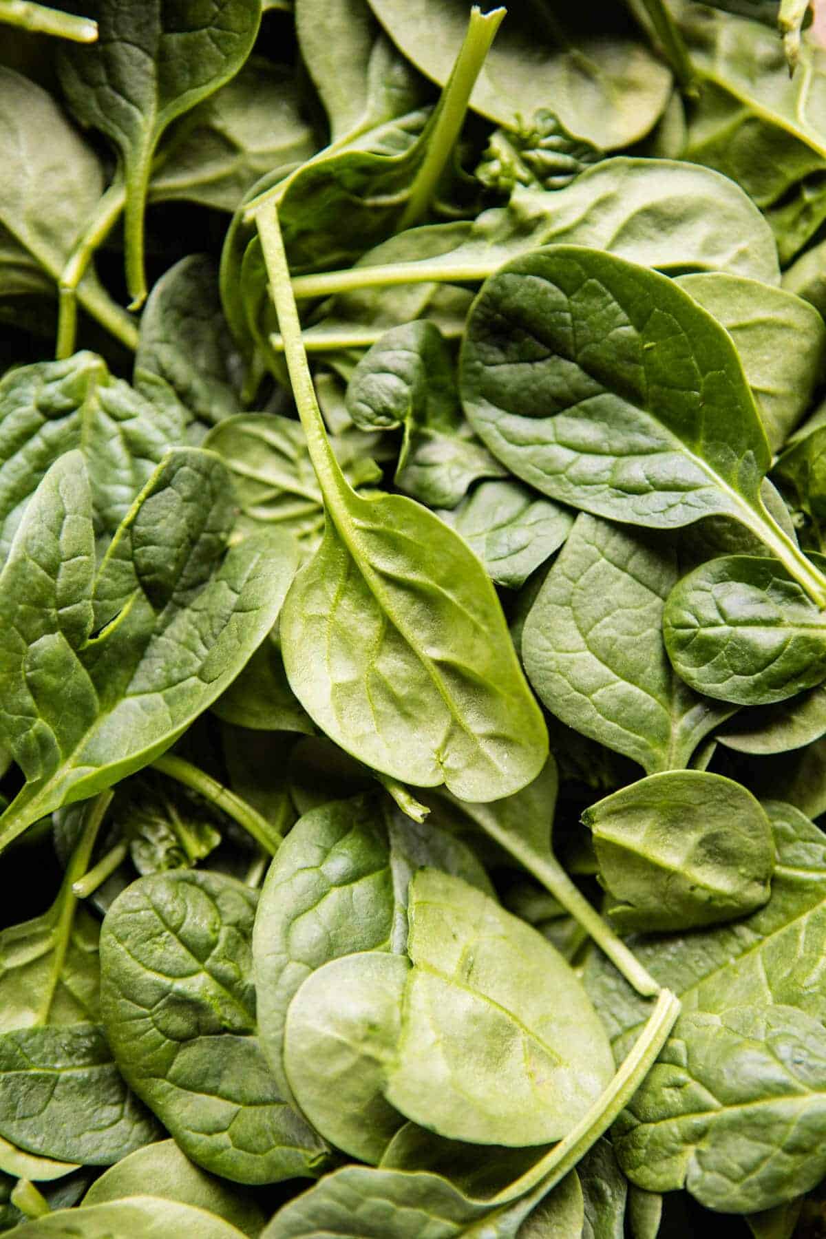 Lemony Spinach and Artichoke Brie Penne Pasta | halfbakedharvest.com @hbharvest