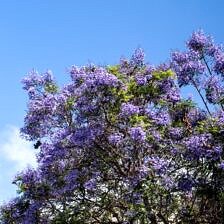 Family Trip To San Diego | halfbakedharvest.com @hbharvest