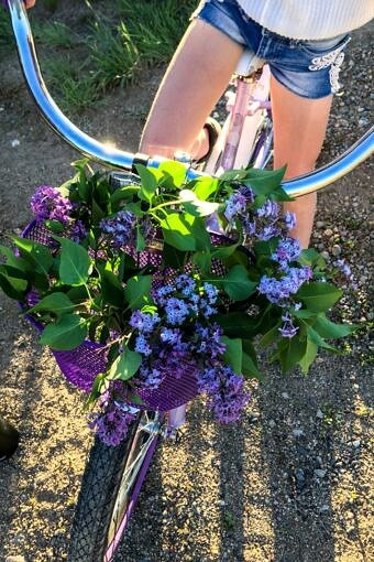 Nine Favorite Things | halfbakedharvest.com