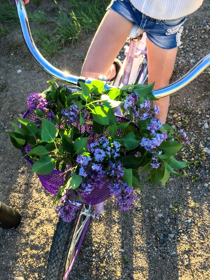 Nine Favorite Things 9 | halfbakedharvest.com @hbharvest