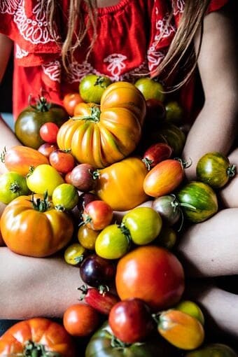 Nine Favorite Things | halfbakedharvest.com @hbharvest