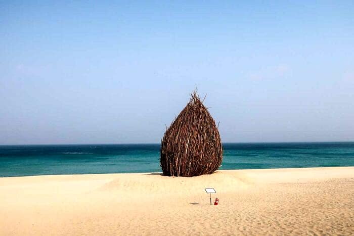 South Korea Part Two: Going for Gold | halfbakedharvest.com