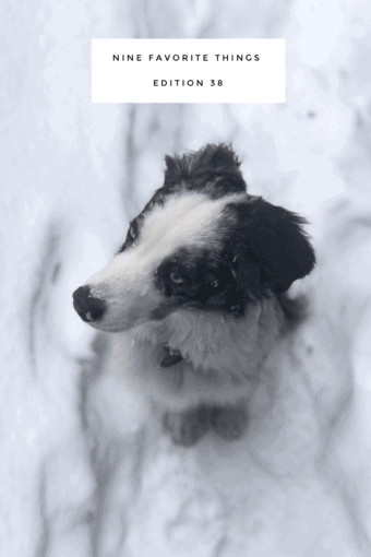 Nine Favorite Things | halfbakedharvest.com @hbharvest