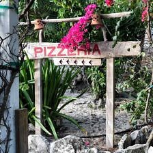 Nine Favorite Things | halfbakedharvest.com