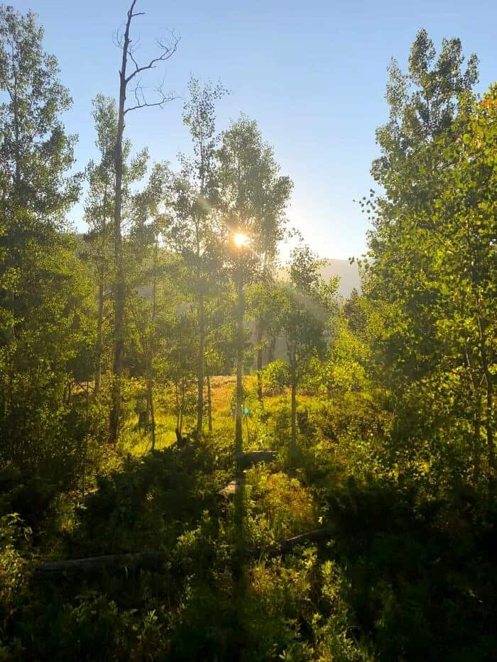 Nine Favorite Things | halfbakedharvest.com