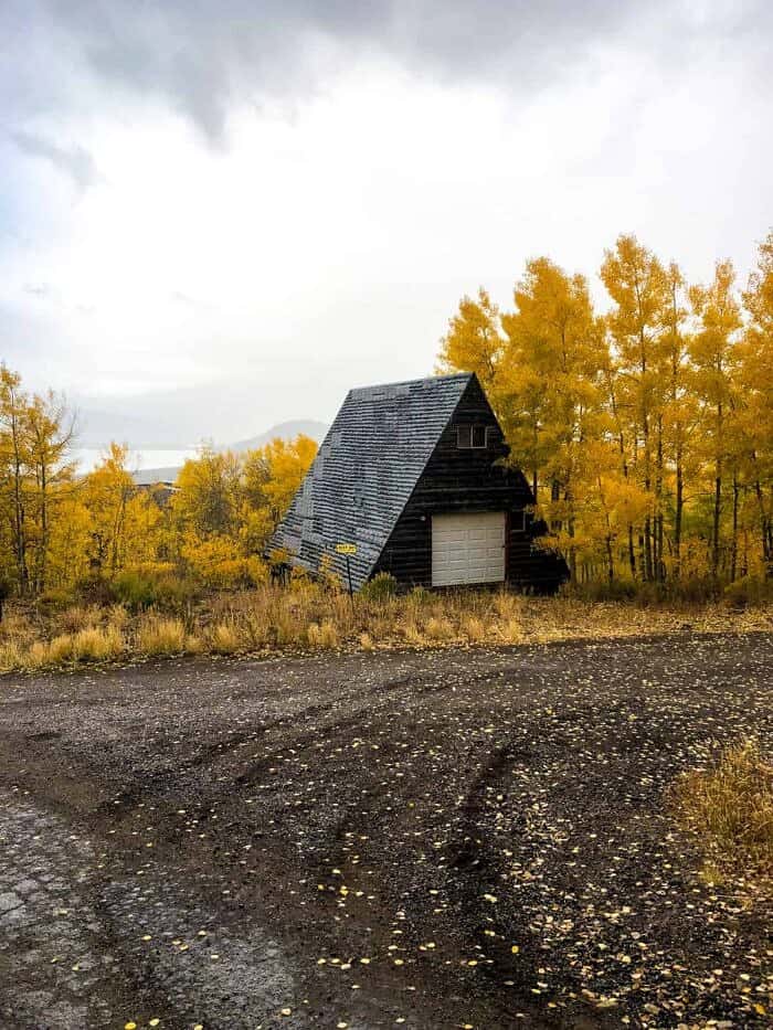 Nine Favorite Things | halfbakedharvest.com