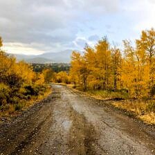 Nine Favorite Things | halfbakedharvest.com