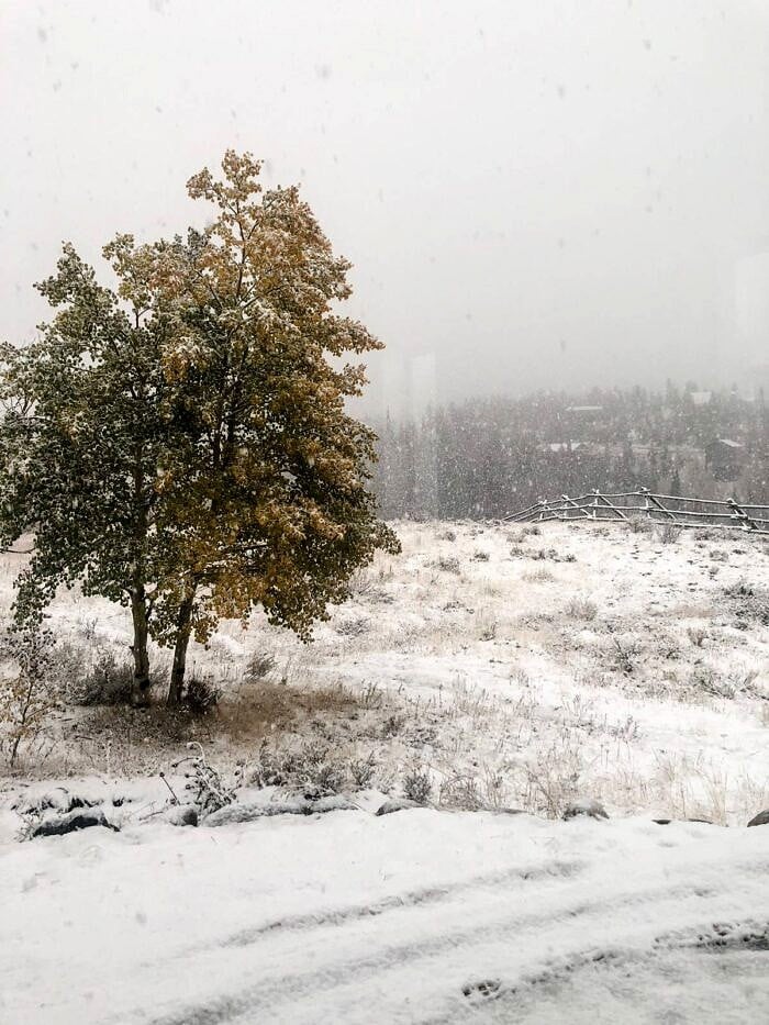 Nine Favorite Things | halfbakedharvest.com