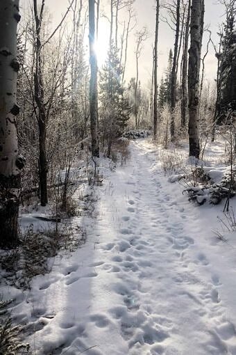 Nine Favorite Things | halfbakedharvest.com