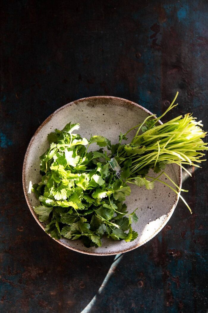 raw cilantro