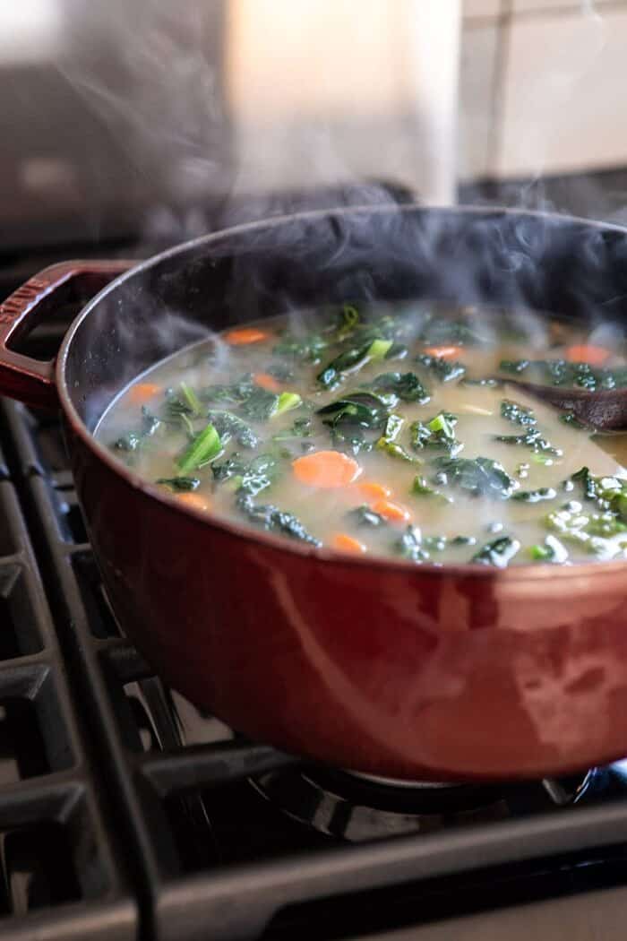 Lemony Garlic Chicken and Orzo Soup | halfbakedharvest.com #chickensoup #kale #healthyrecipes #winter Lemony Garlic Chicken and Orzo Soup in pot on stove