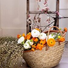 Nine Favorite Things | halfbakedharvest.com