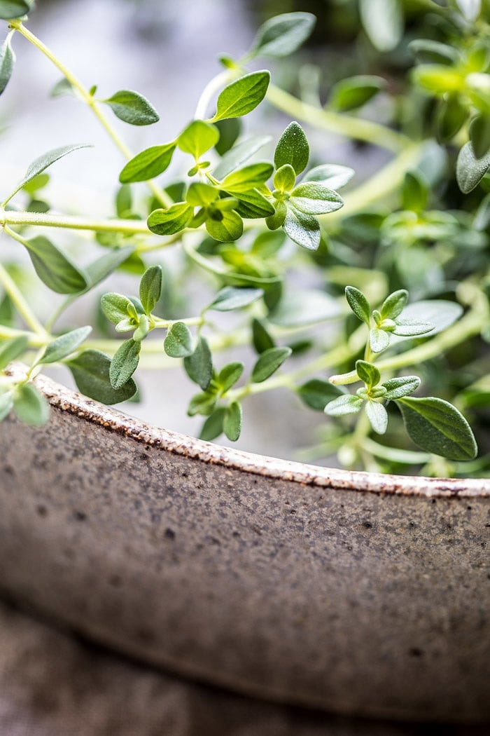 fresh thyme in bowl Garden Herb Shrimp Scampi Linguine 