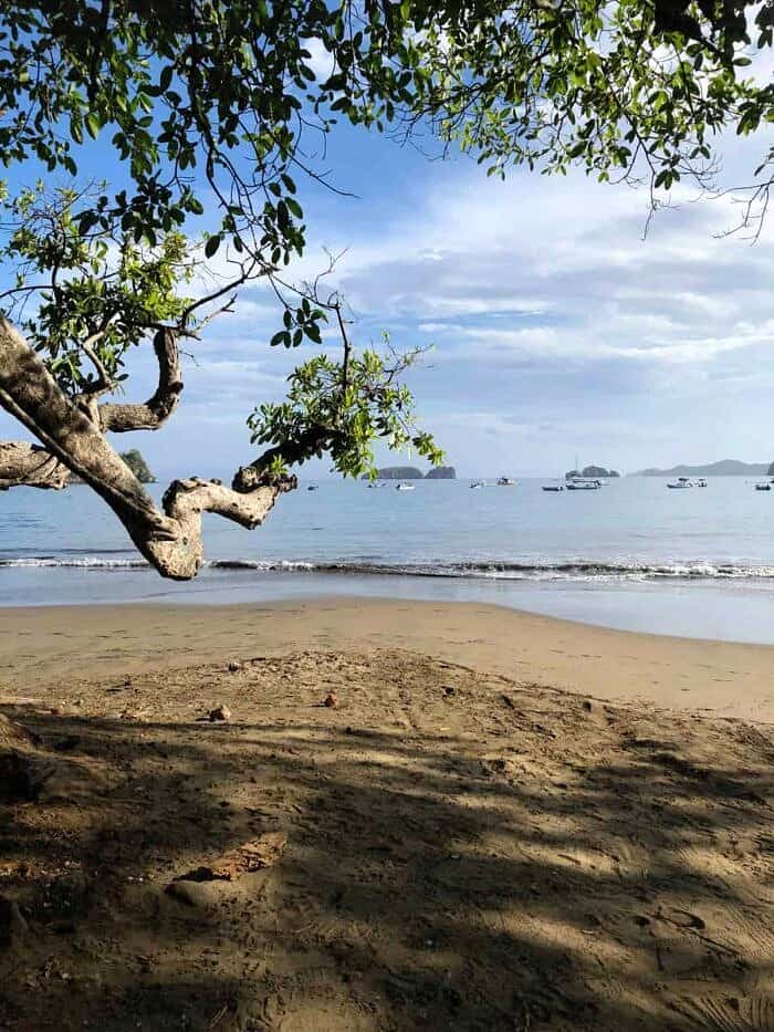 costa rice shoreline 