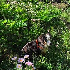 Nine Favorite Things | halfbakedbaked.com