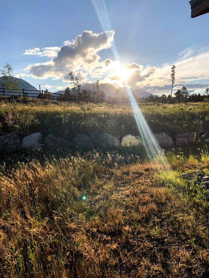 Nine Favorite Things | halfbakedharvest.com