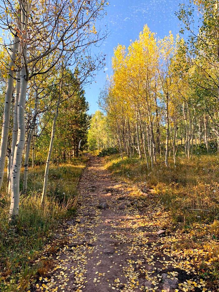 Nine Favorite Things | halfbakedharvest.com 