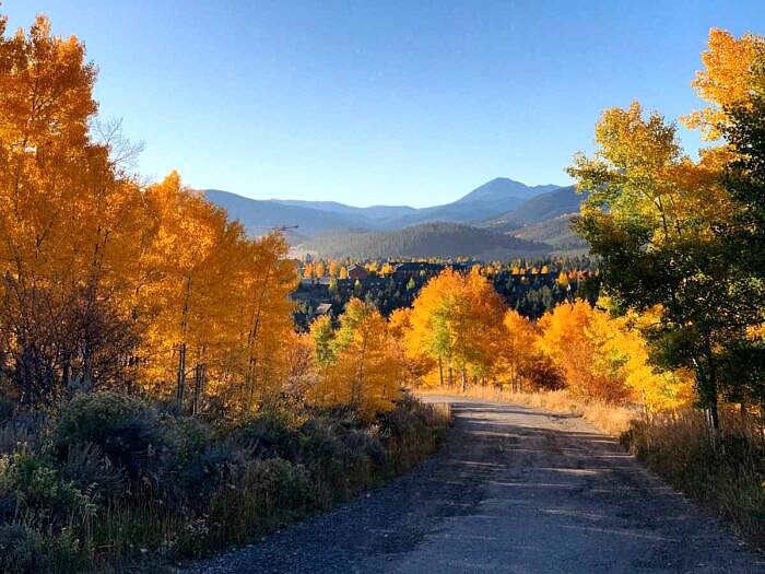 Nine Favorite Things | halfbakedharvest.com