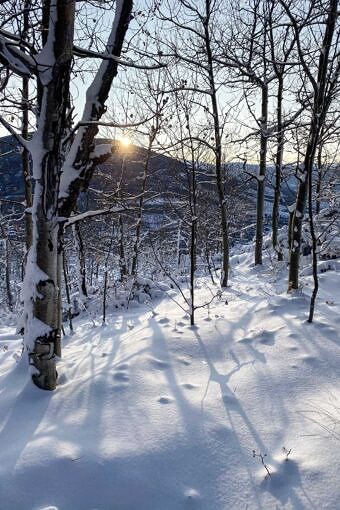 Nine Favorite Things | halfbakedharvest.com