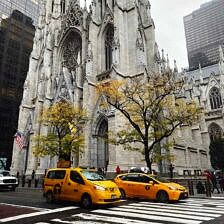 Nine Favorite Things | halfbakedharvest.com