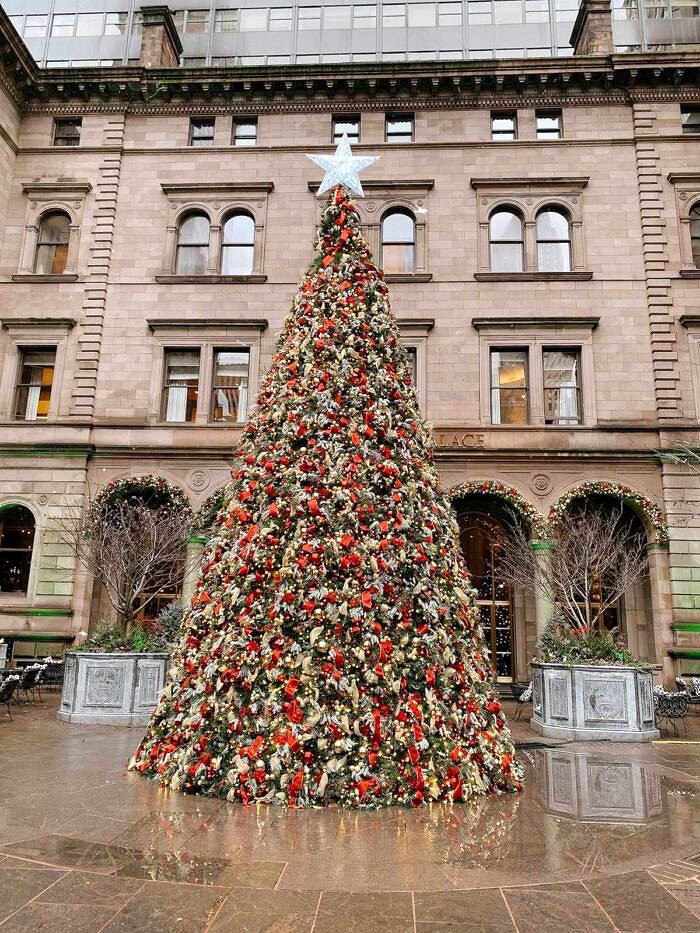 Nine Favorite Things | halfbakedharvest.com