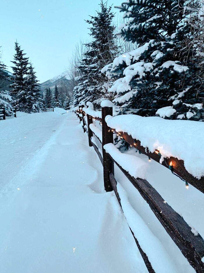 Nine Favorite Things | halfbakedharvest.com Nine Favorite Things | halfbakedharvest.com