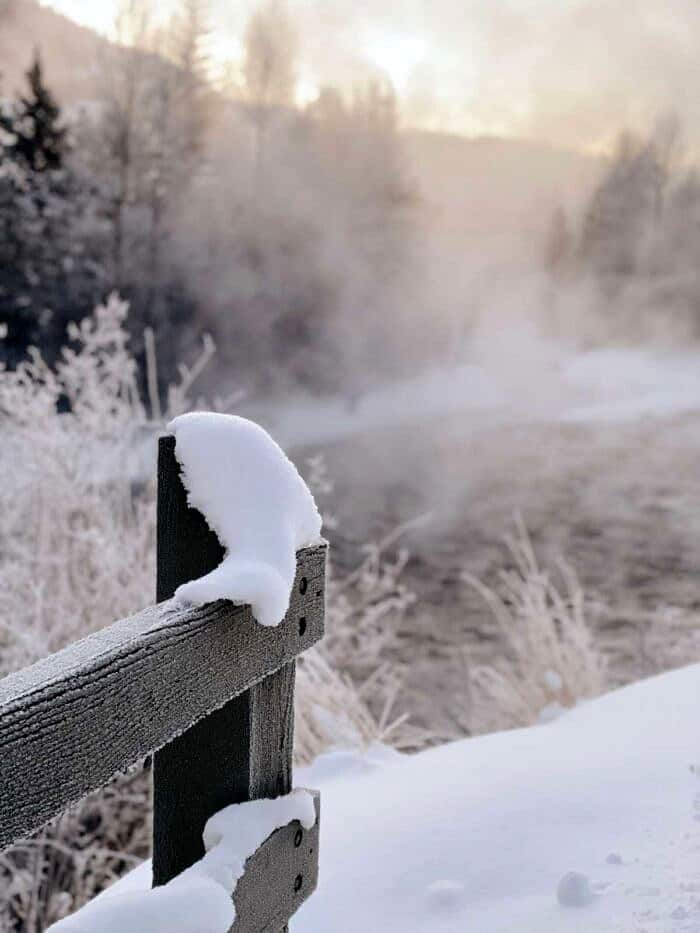 Nine Favorite Things | halfbakedharvest.com Nine Favorite Things | halfbakedharvest.com