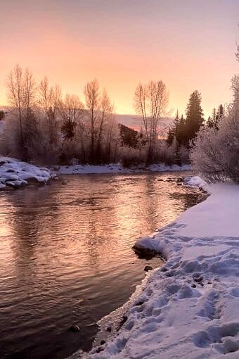 Nine Favorite Things | halfbakedharvest.com