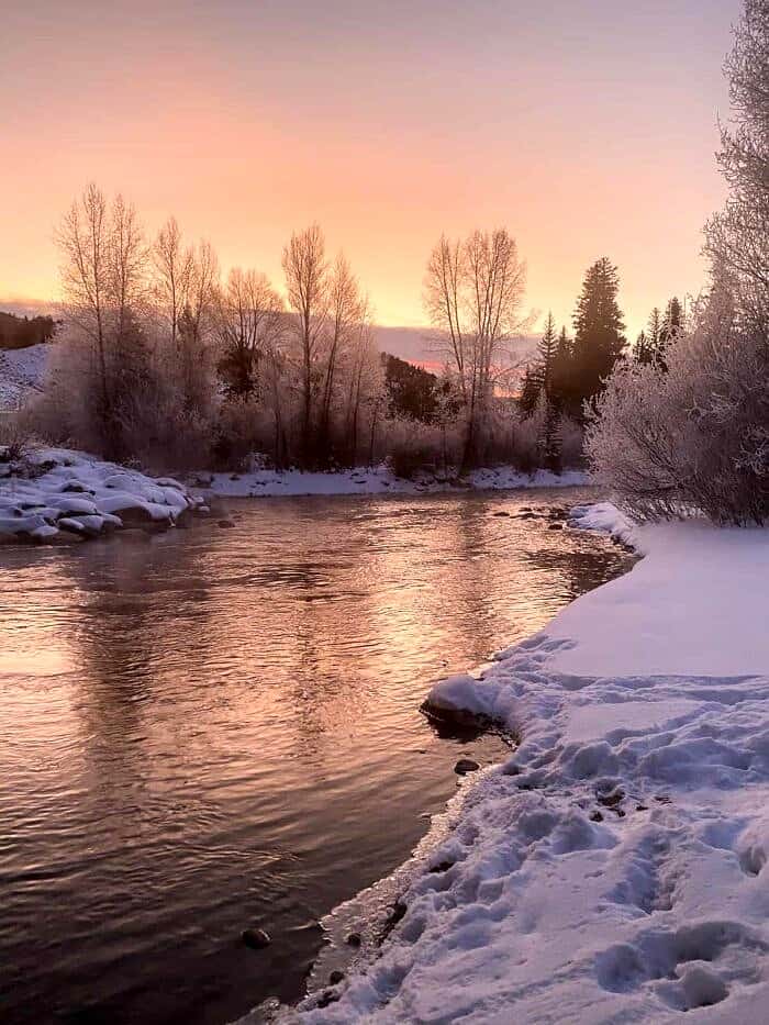 Nine Favorite Things | halfbakedharvest.com Nine Favorite Things | halfbakedharvest.com