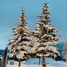 Nine Favorite Things | halfbakedharvest.com